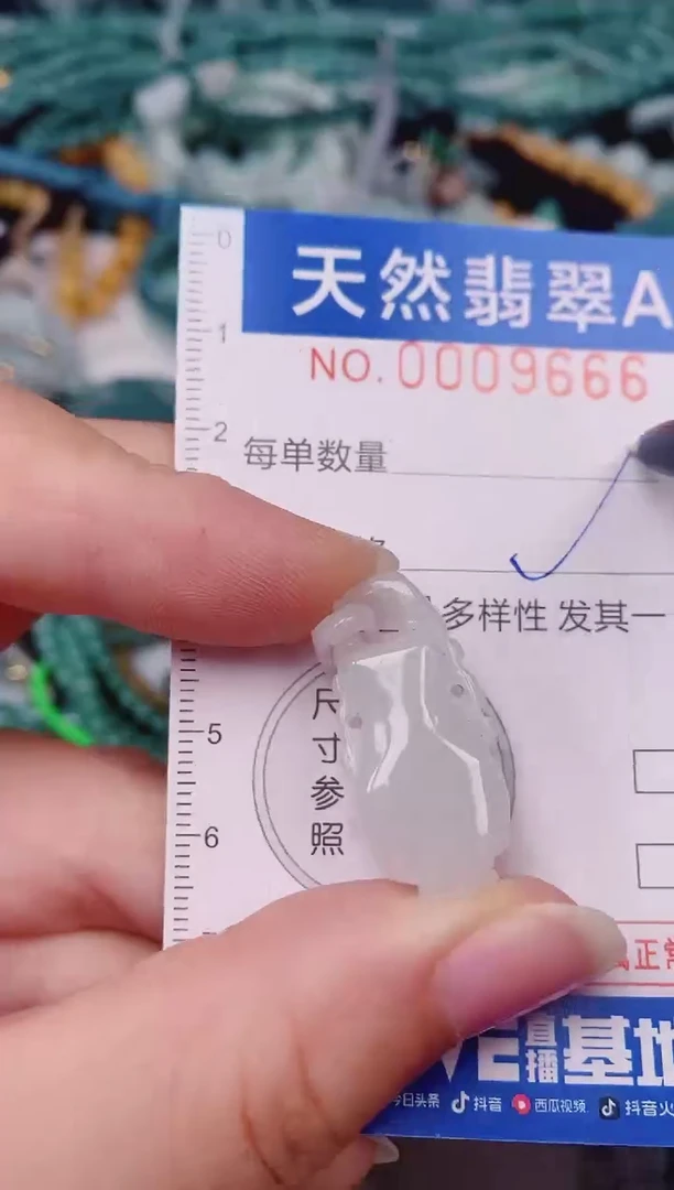 颈饰未镶嵌翡翠00009666