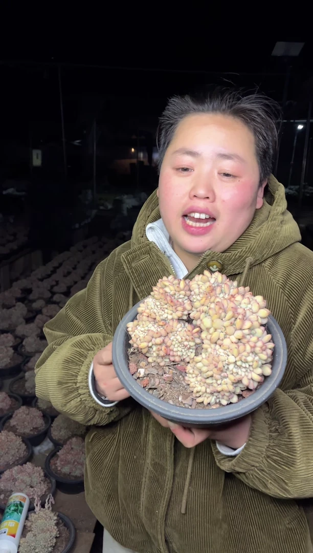 【闪购商品】72-胖丁缀14-16cm18