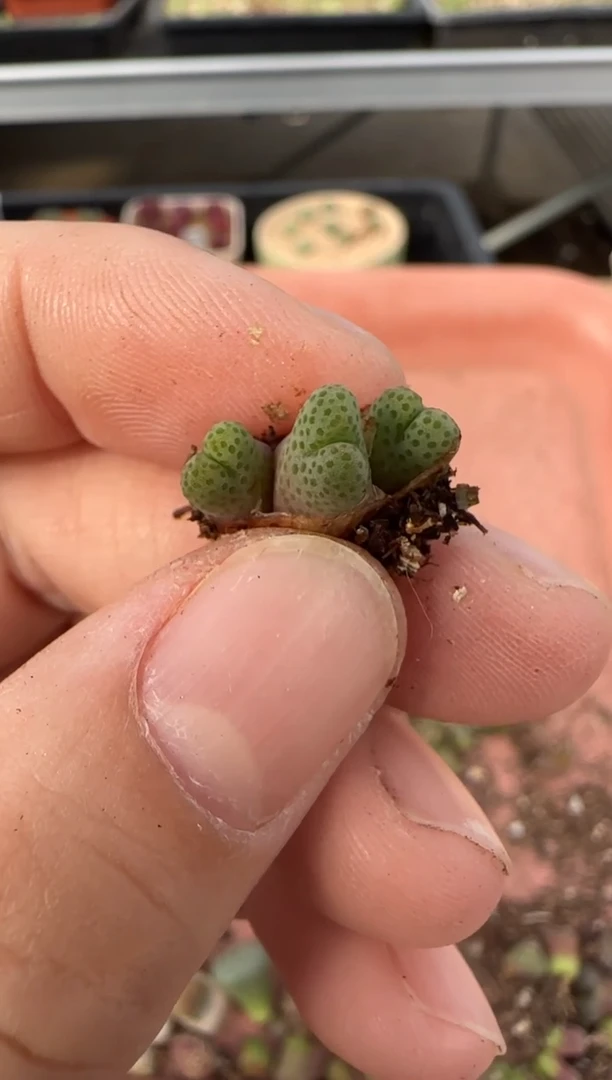 【闪购商品】13-24