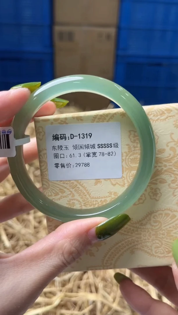 未镶嵌手镯石英质玉D1319