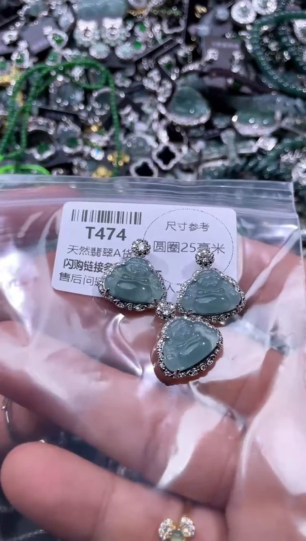 【闪购商品】翡翠颈饰未镶嵌T474多样性发其一