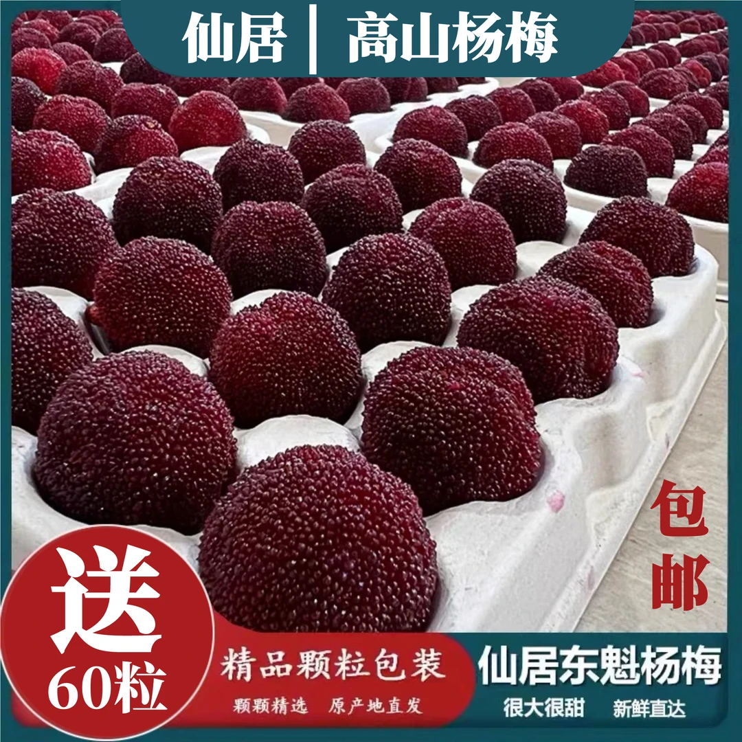 【9A东魁颗粒装】顺丰正宗仙居东魁杨梅20-25g孕妇水果同城送20-25克当天采摘当天发货包邮到家坏果包赔浙江省