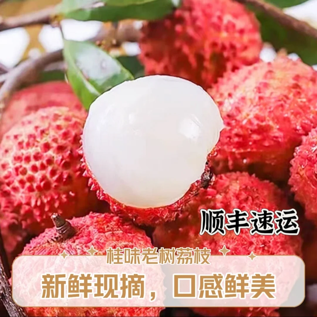【明天送到家】爱马仕桂味荔枝新鲜采摘