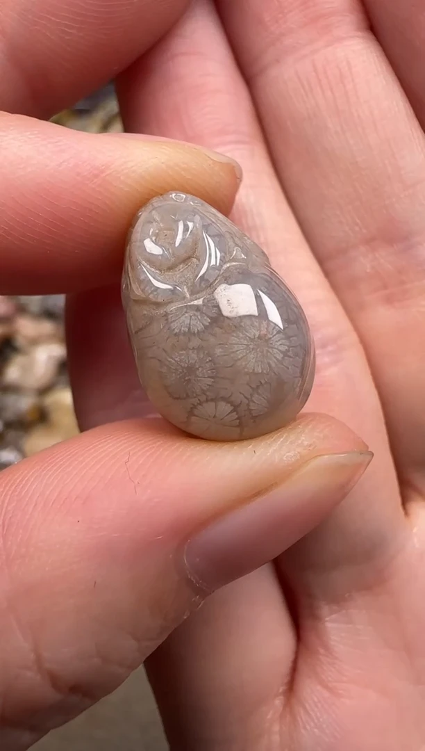 硅化珊瑚（珊瑚玉）未镶嵌颈饰026