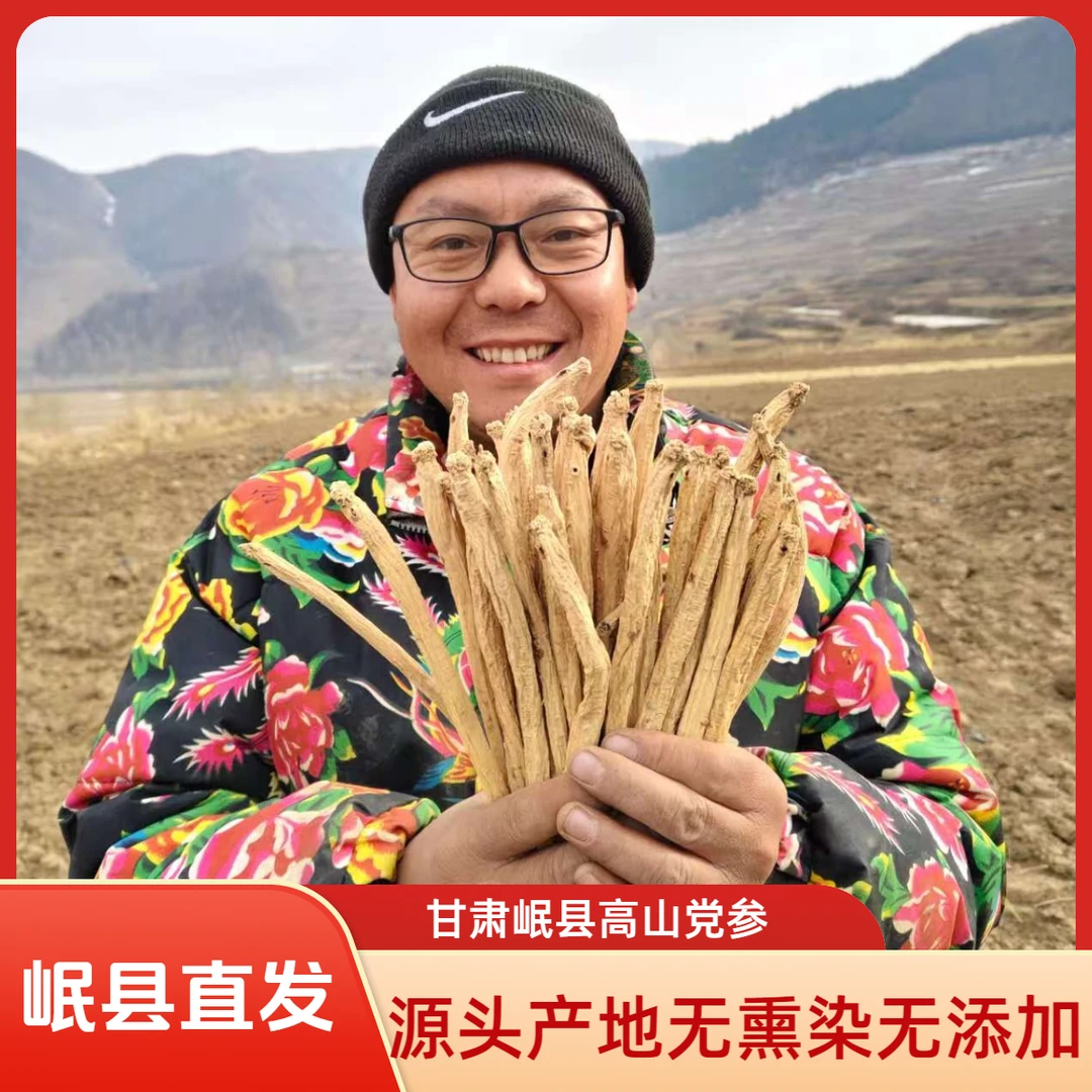 新货无硫党参原条正宗正品甘肃岷县直发炖汤煲汤党参