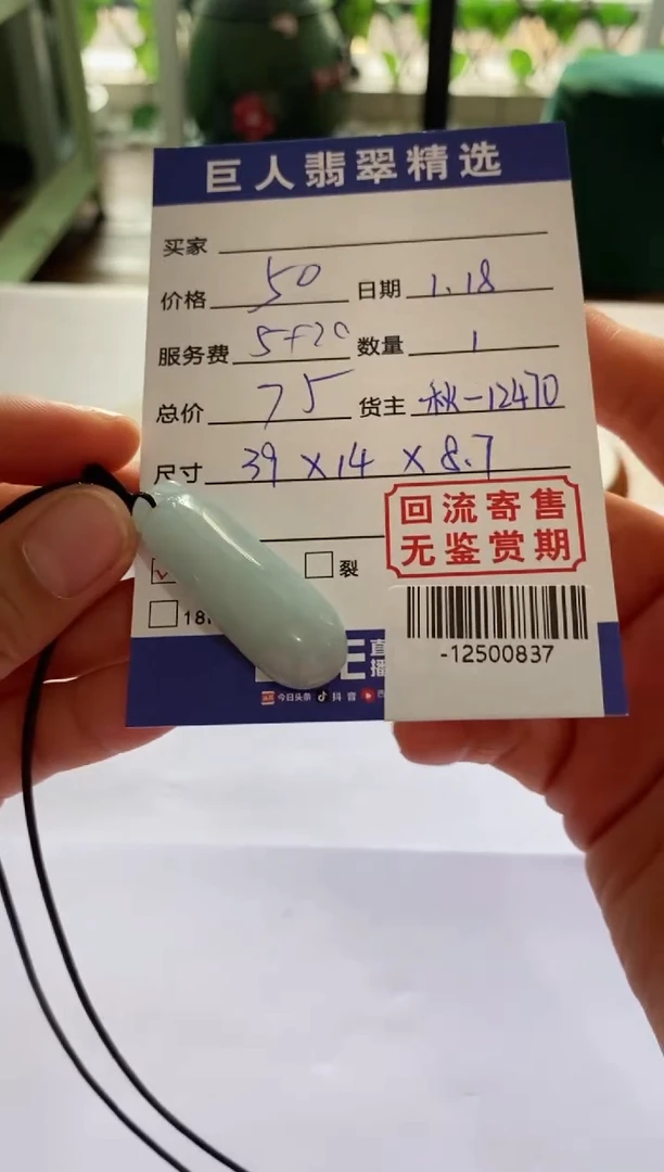 【闪购商品】翡翠颈饰未镶嵌多人-12500837