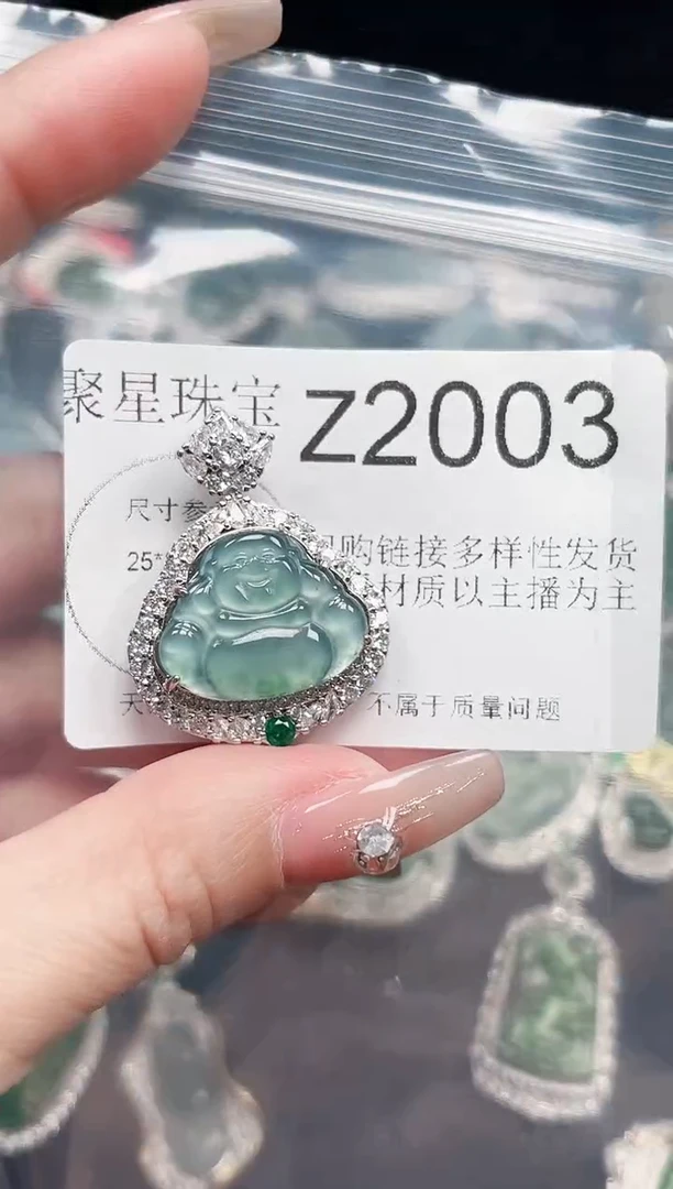 【闪购商品】翡翠颈饰未镶嵌赠皮绳2003