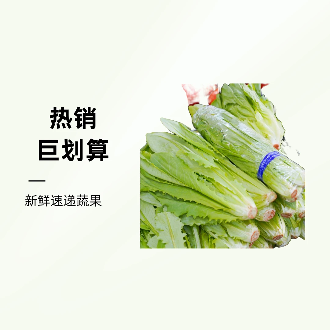 【蔬菜配送】油麦菜 约400g