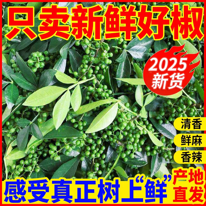 【鲜花椒】四川特产香料 农家青花椒 九叶青麻椒 藤椒