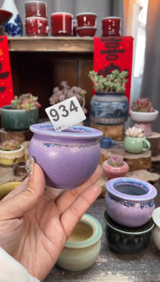 【闪购商品】摆件934知木小芳花盆