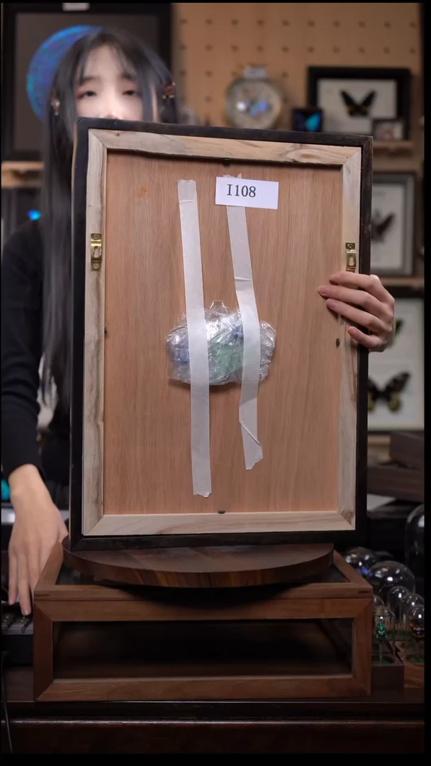 蝴蝶标本摆件竞拍i108