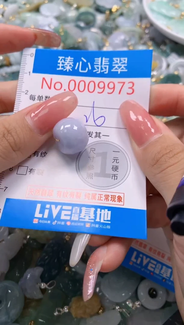 翡翠未镶嵌颈饰9973