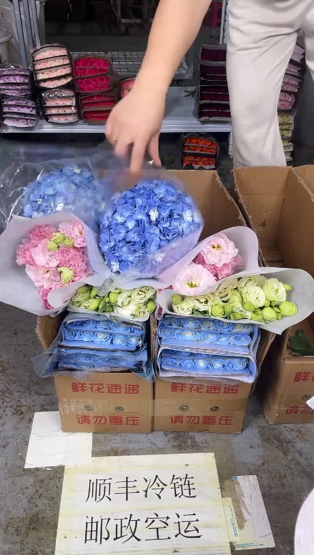 碎冰蓝20枝+绿色洋桔梗400克+阳光粉400克+蓝绣球