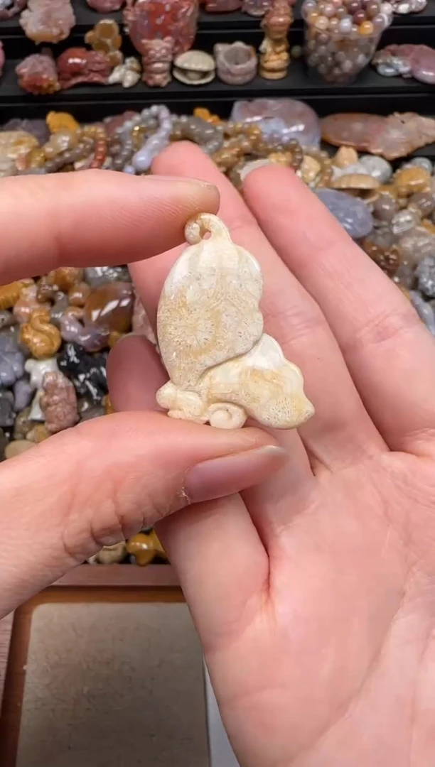 硅化珊瑚（珊瑚玉）未镶嵌颈饰461