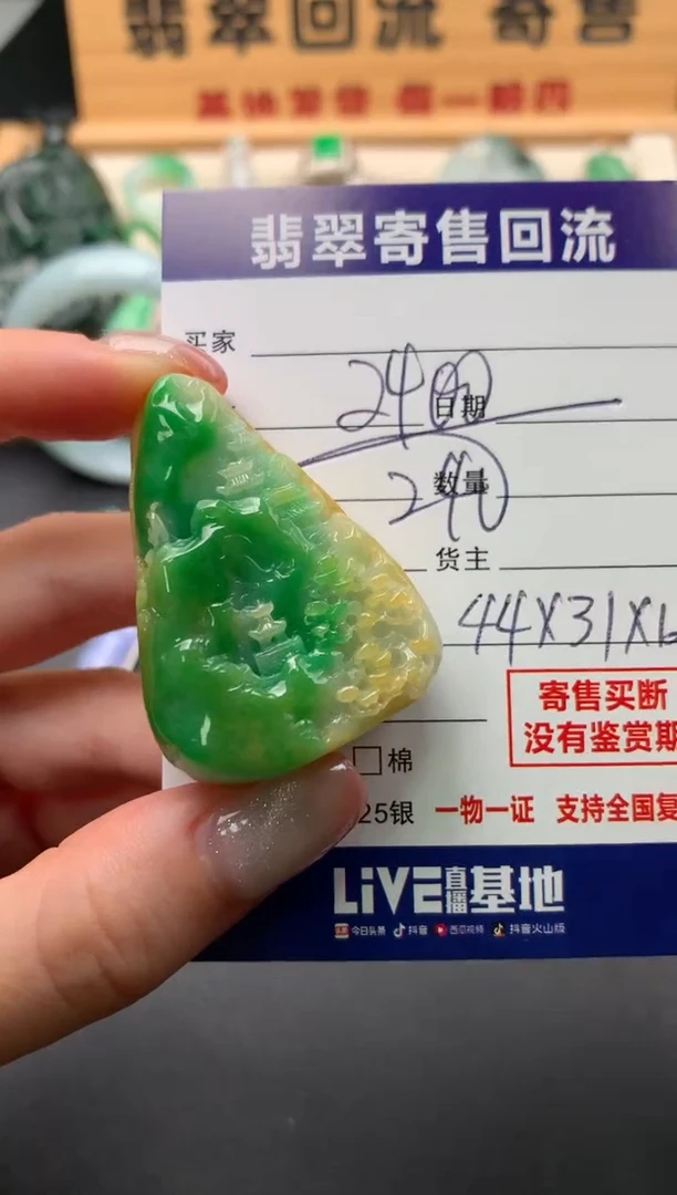 翡翠未镶嵌颈饰10140890