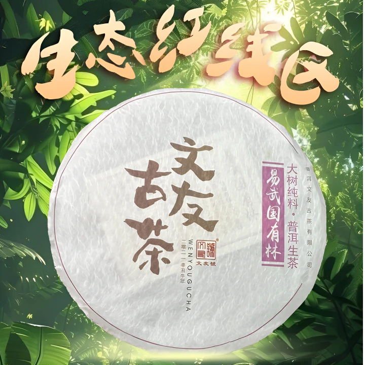 文友号2021易武国有林百年生态乔木大树纯料普洱生茶木质香冰糖韵