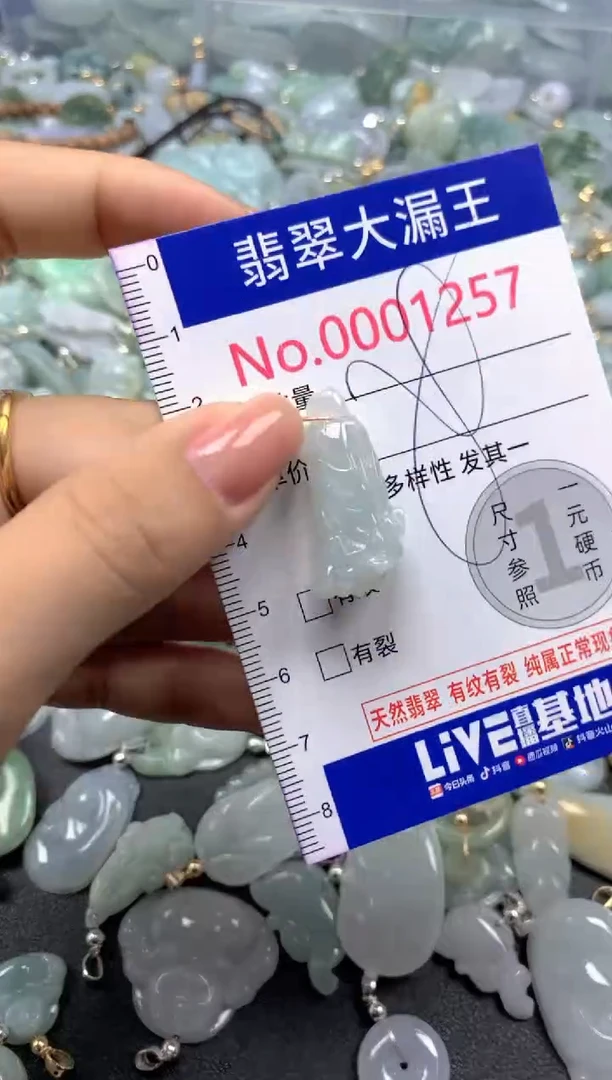 颈饰未镶嵌翡翠1257