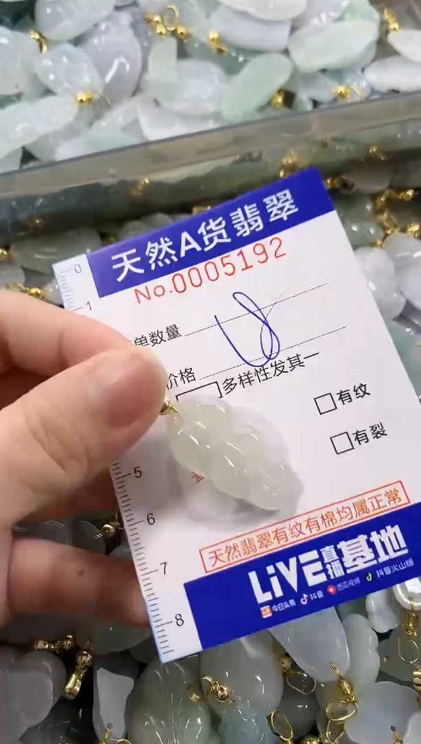 颈饰未镶嵌翡翠天然A货翡翠