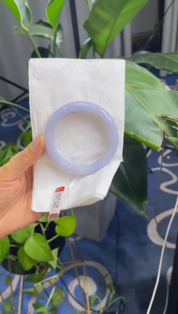 未镶嵌手镯翡翠5817*****