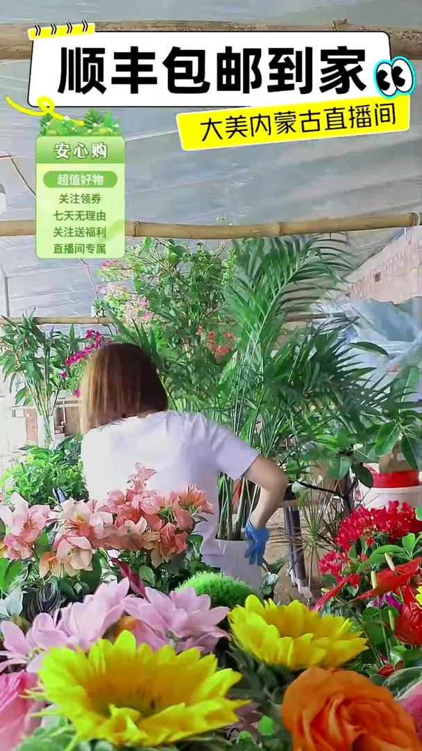 完全开放轻奢抗衰补差价