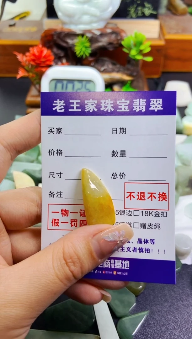 【闪购商品】翡翠颈饰未镶嵌料子