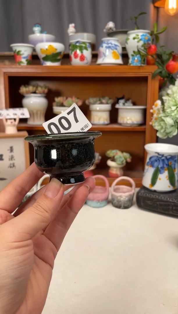 瓷片007知木小芳花盆直播编号