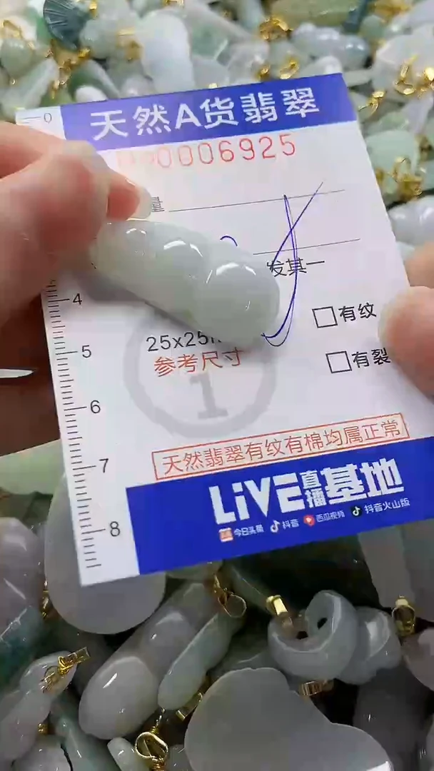 颈饰未镶嵌翡翠纯天然a货翡翠