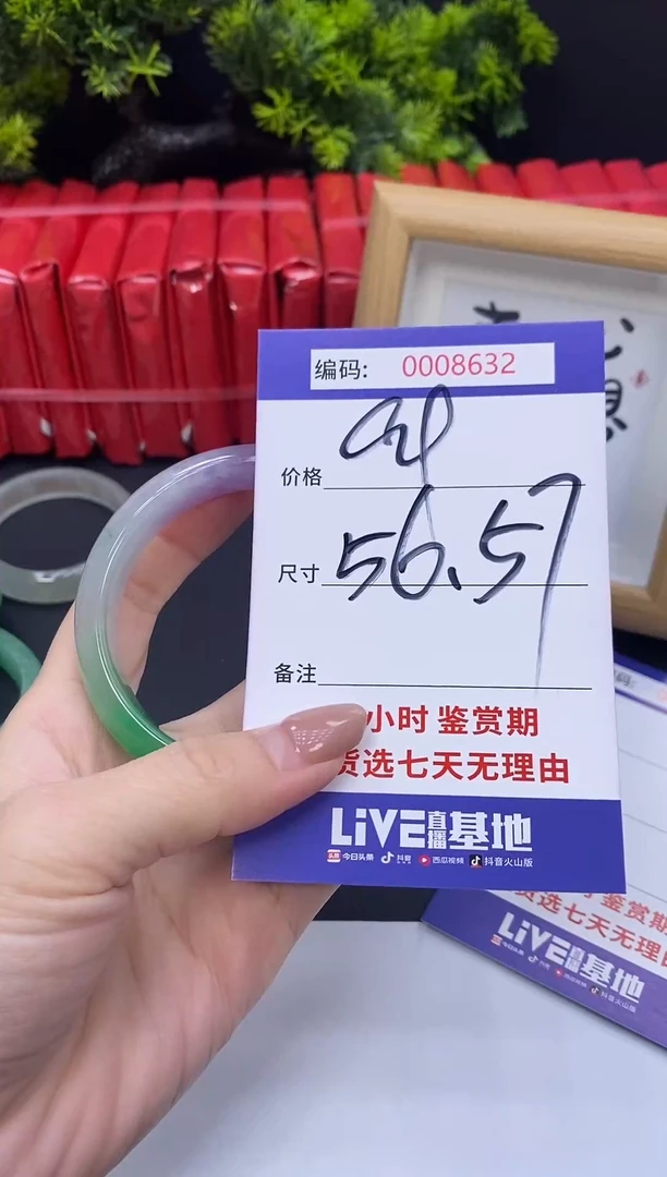 未镶嵌手镯翡翠0008632