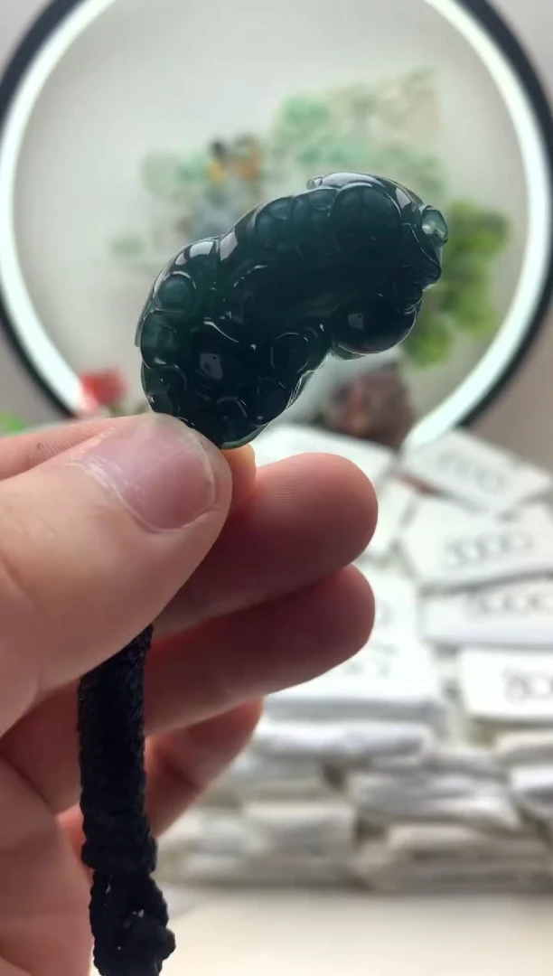 颈饰未镶嵌翡翠貔貅1