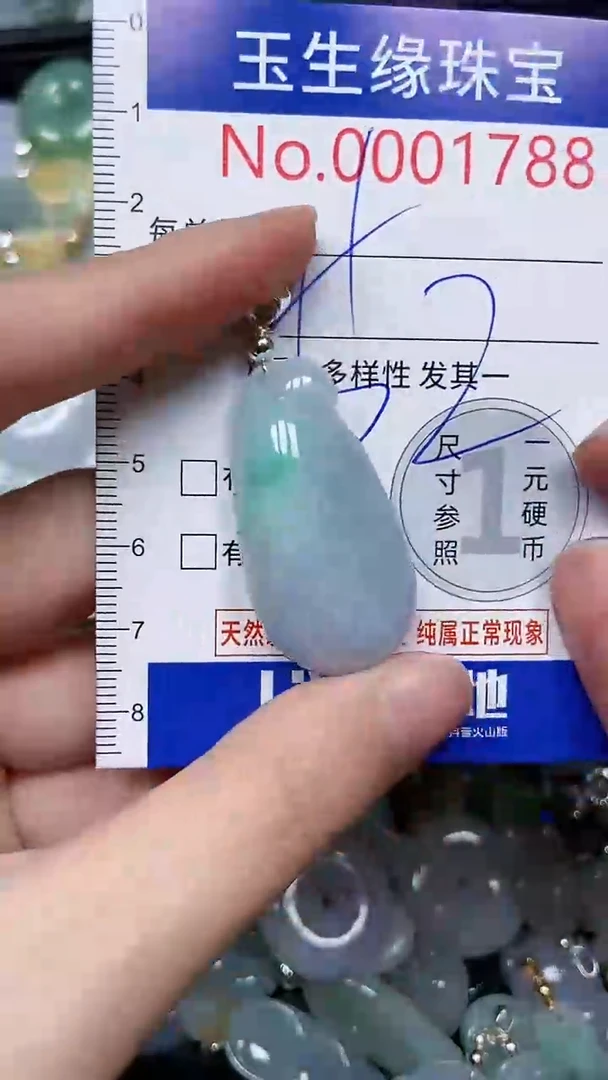 【闪购商品】翡翠颈饰未镶嵌闪购00001788