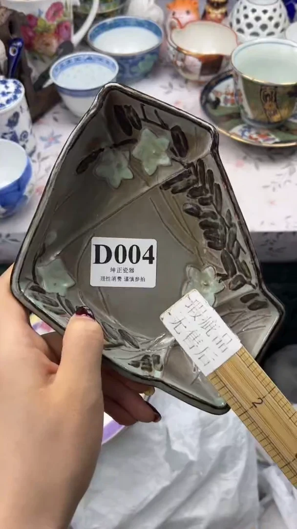 瓷片          D004