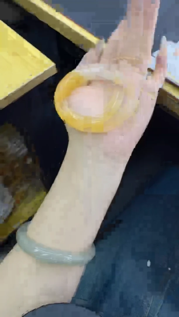 石英质玉手镯未镶嵌216/黄龙/55.3