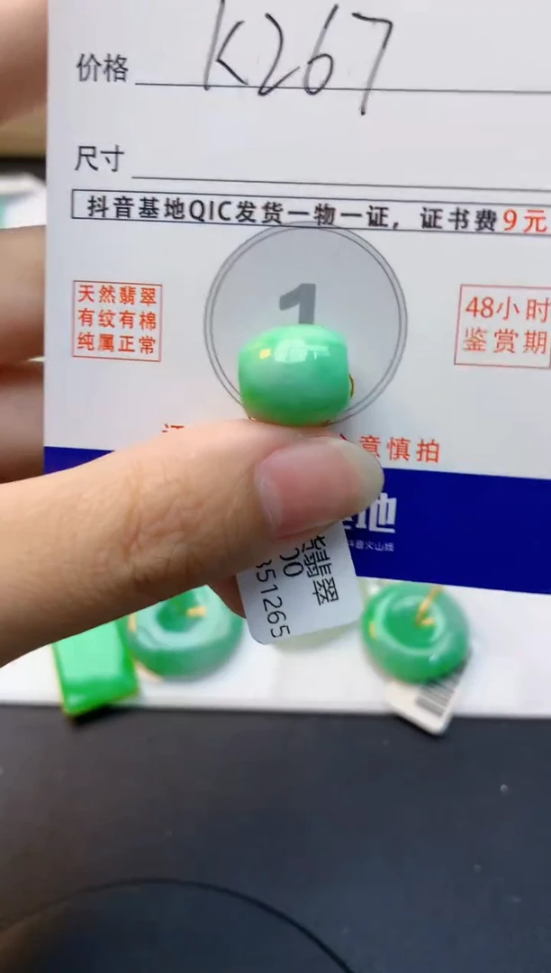 颈饰未镶嵌翡翠天然缅甸A货翡翠