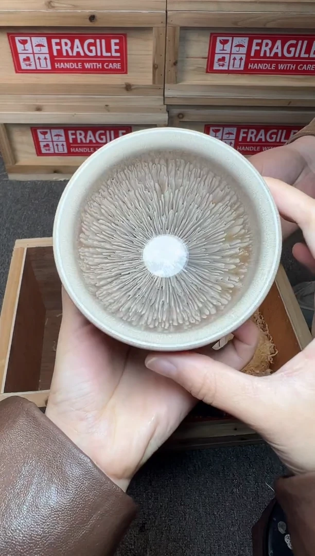 茶盏银丝水芽  建窑建盏主人杯