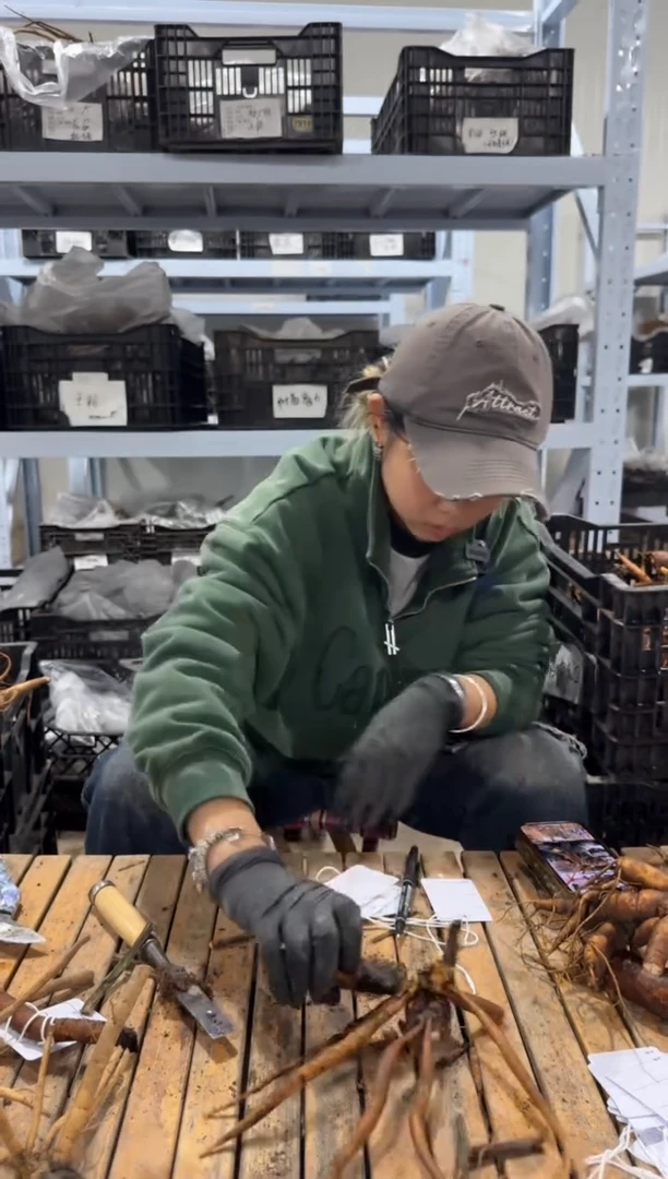 梦**王25.8  梦之郡王  御前