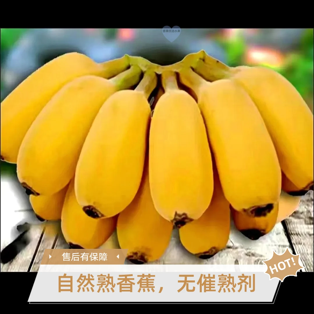 广东地道苹果蕉现摘果清甜软糯青粉蕉当季新鲜水果适合产妇孕妇食