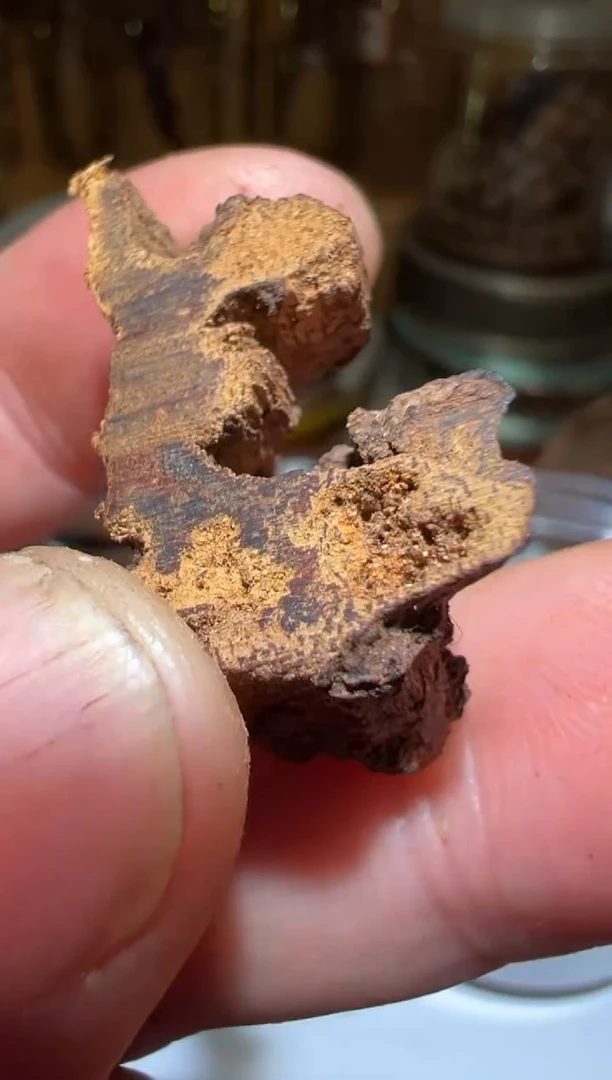 沉香沉香碎屑广义1.5克