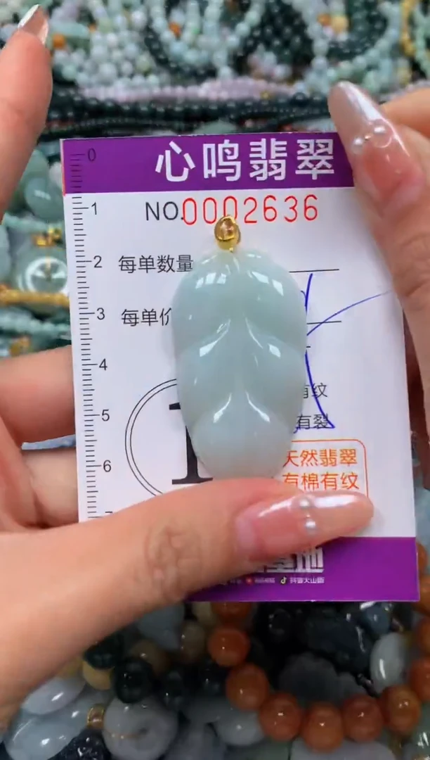 颈饰未镶嵌翡翠闪购002636