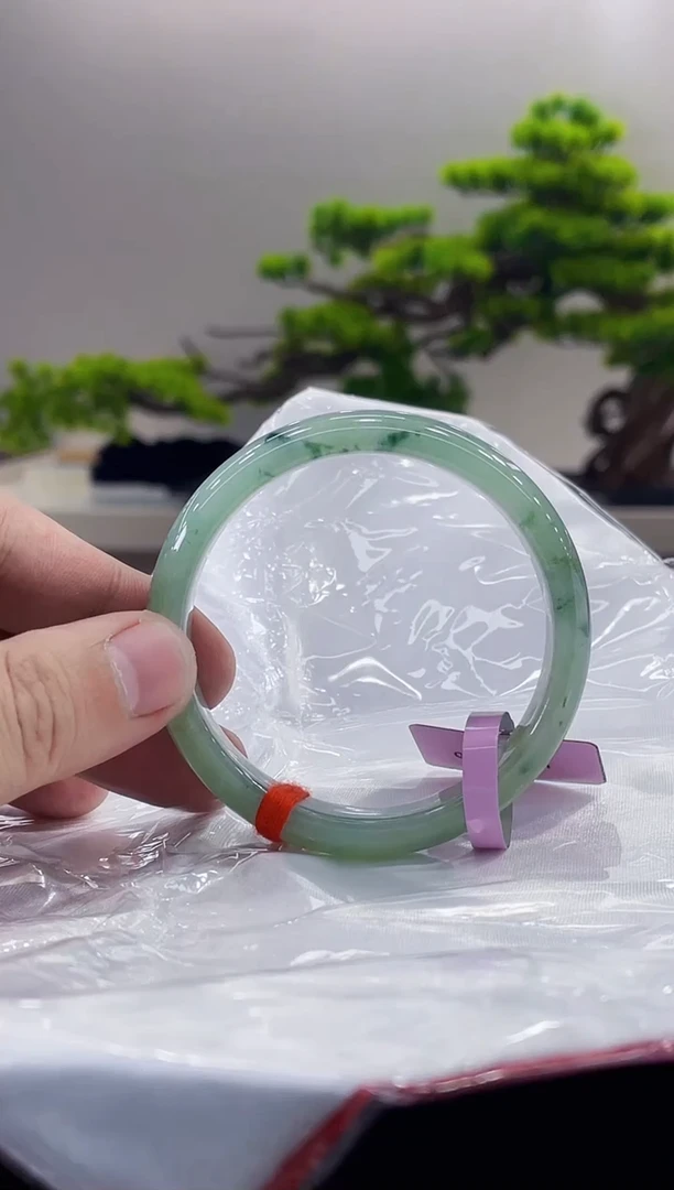 未镶嵌手镯翡翠15