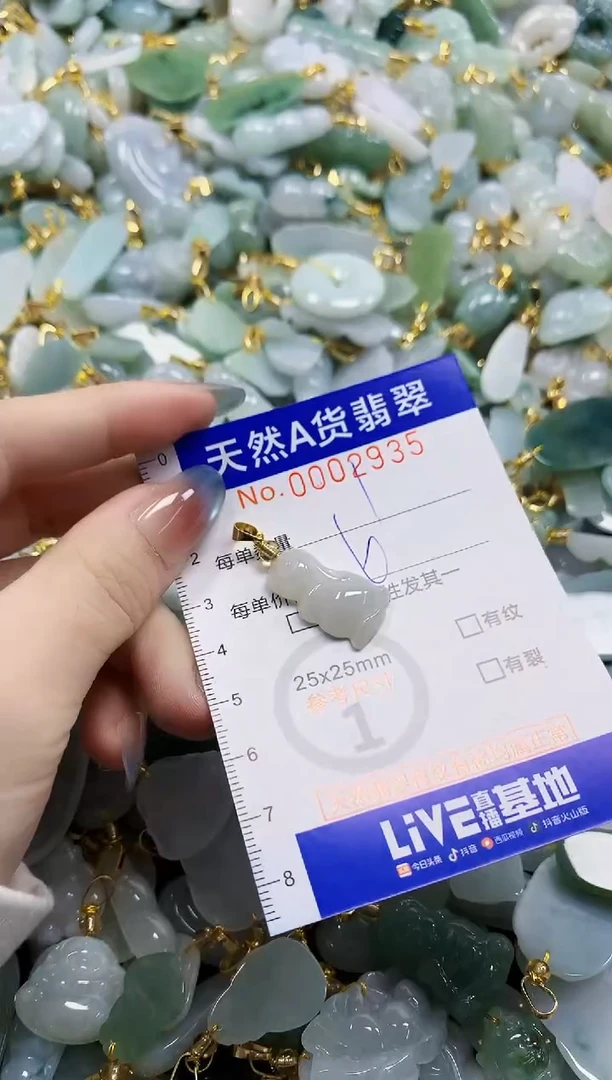 颈饰未镶嵌翡翠纯天然a货翡翠