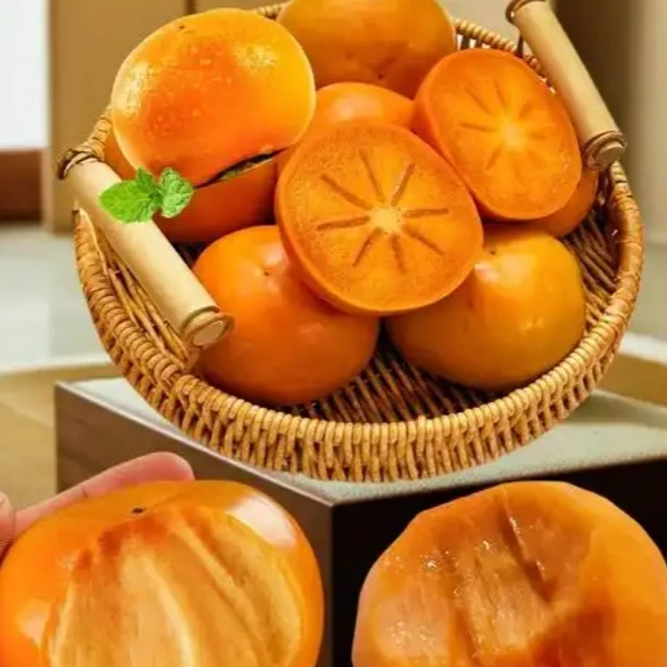 【黑小子】巧克力脆柿子1箱（净果2斤以上）