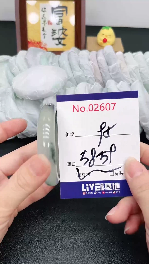 未镶嵌手镯翡翠2607
