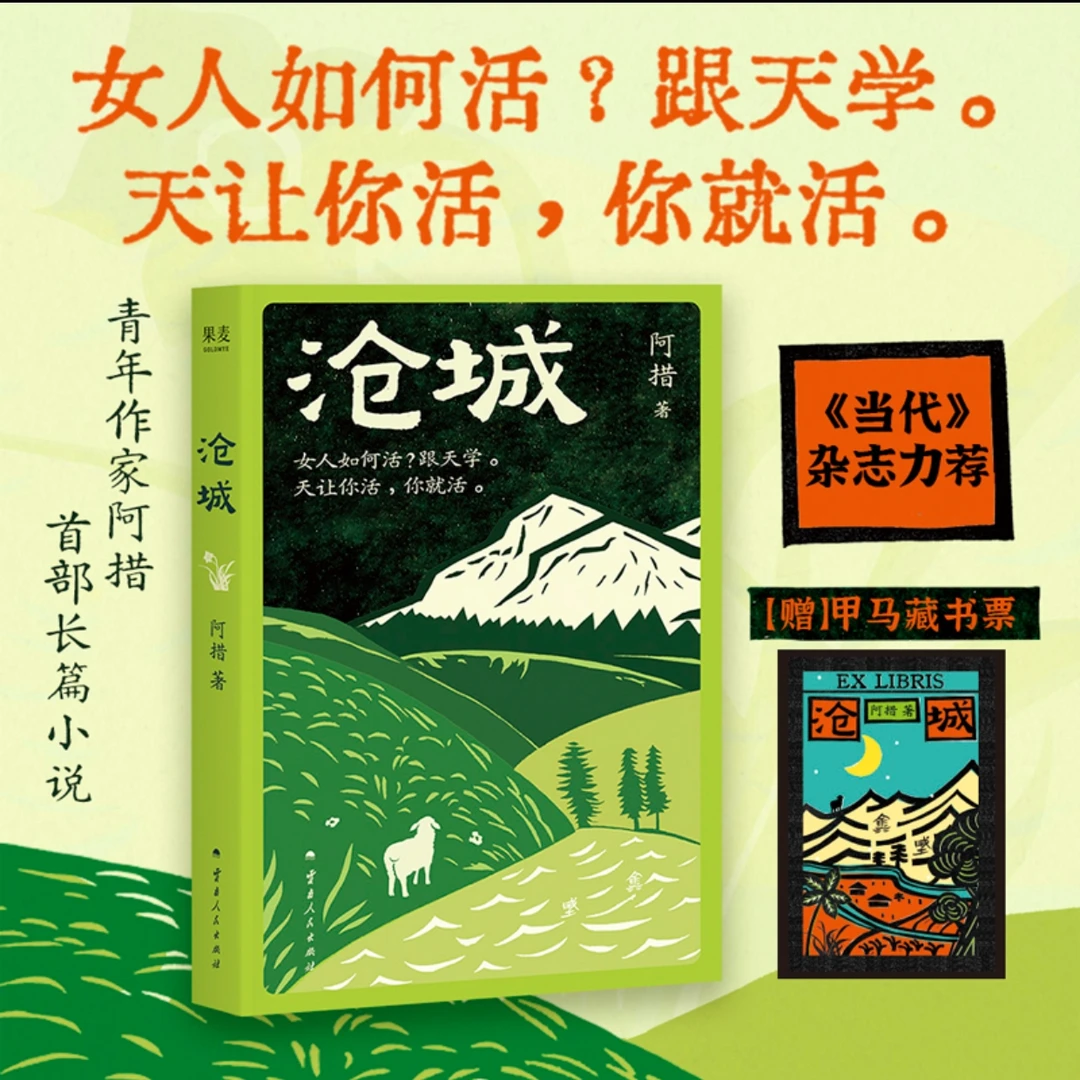 2025全民阅读书店之选：沧城  阿措 著