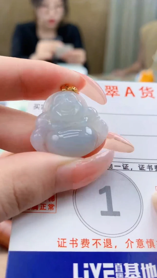 颈饰未镶嵌翡翠 天然A货翡翠挂件