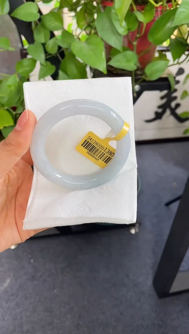 未镶嵌手镯翡翠016-54.5