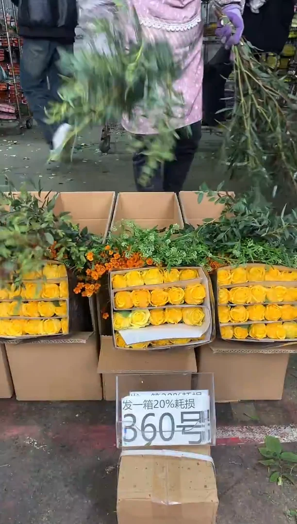 360号♥中通含20%耗损发一箱鲜花