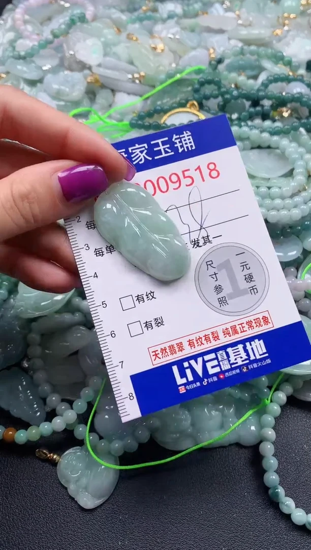 颈饰未镶嵌翡翠9518