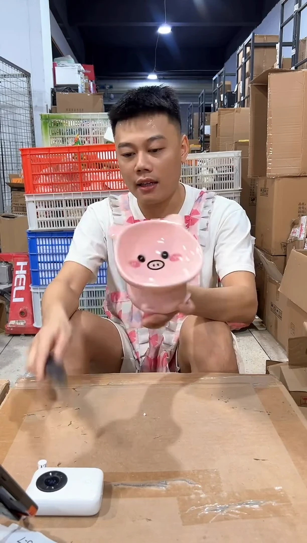 瓷片陶瓷小猪猫碗