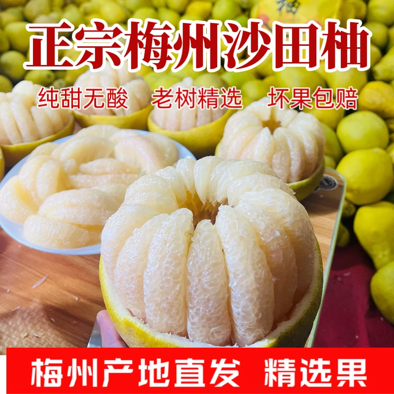 【顺丰次日达】广东正宗梅州沙田柚纯甜无酸柚子多仓发货广东省广东省