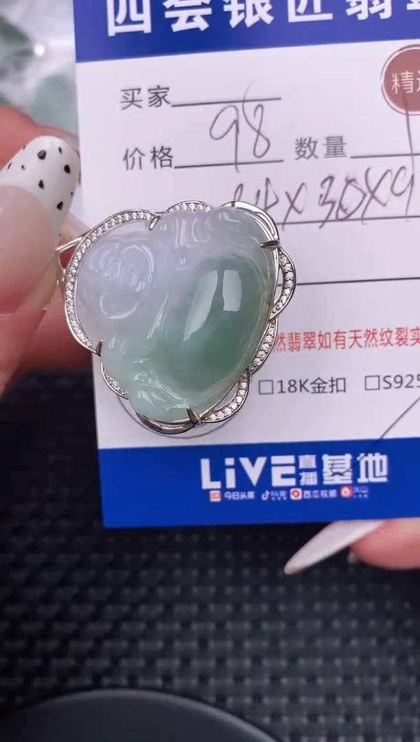 翡翠银S925镶嵌颈饰·